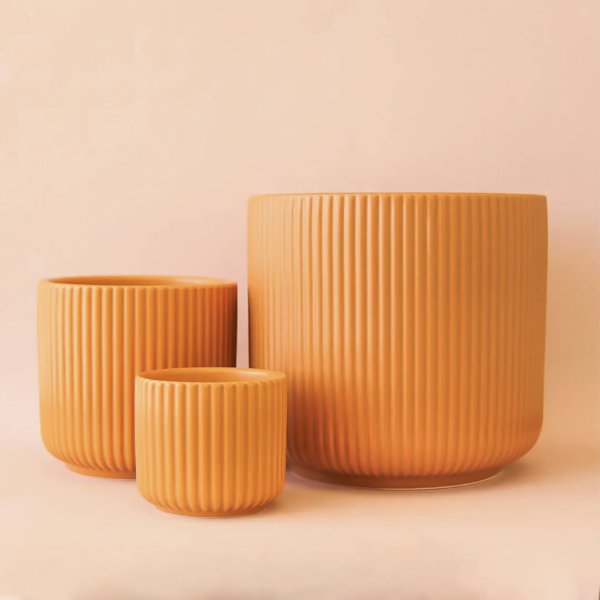 Jungle Club Lucy Planter Ginger Nigella jungle-club-lucy-planter-ginger-nigella